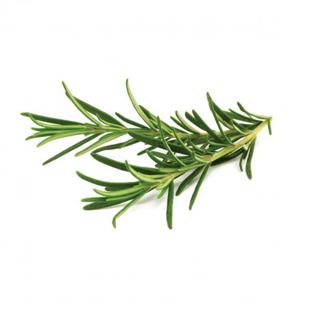Click & Grow ROSEMARY PLANT PODS