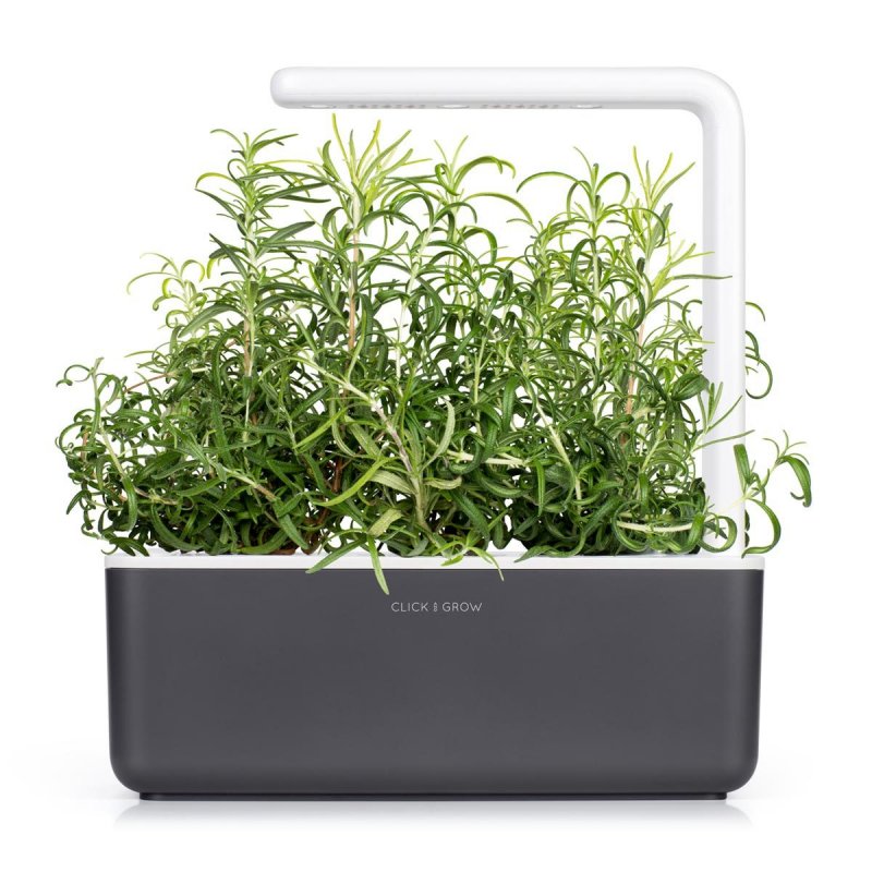 Click & Grow ROSEMARY PLANT PODS