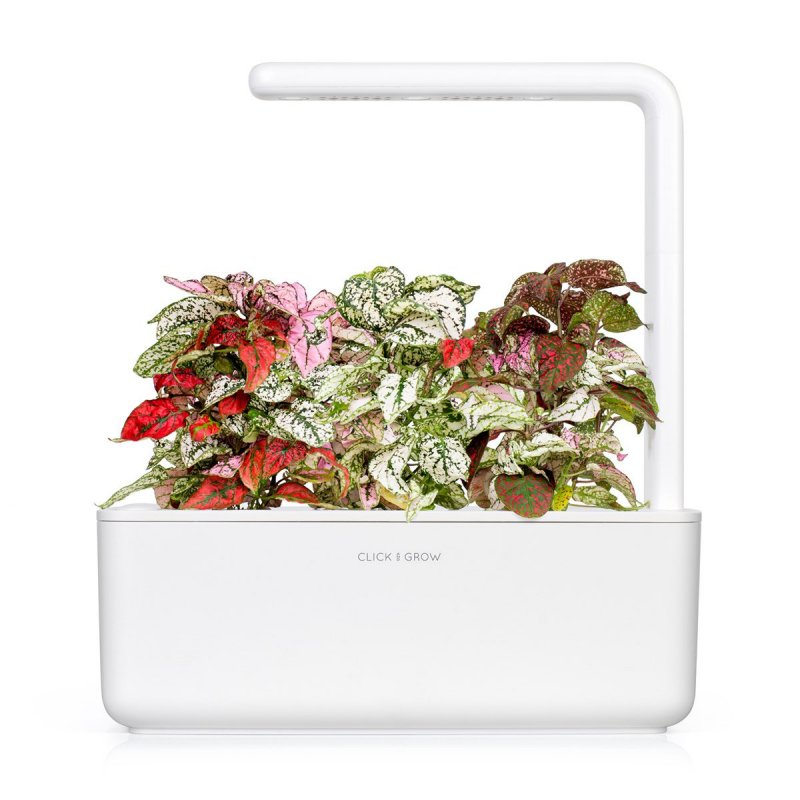 Click & Grow POLKA DOT FLOWER PLANT PODS