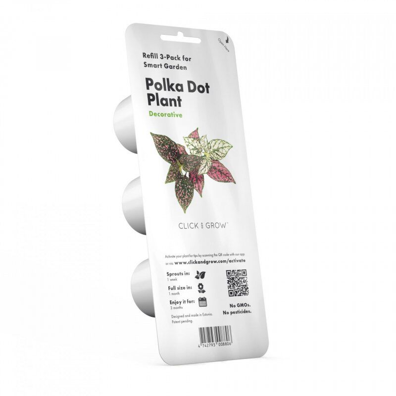 STOCK1 - Click & Grow PLANTE AUX EPHELIDES
