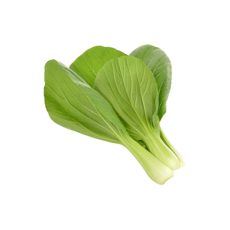 Click & Grow PAK CHOI PLANT PODS