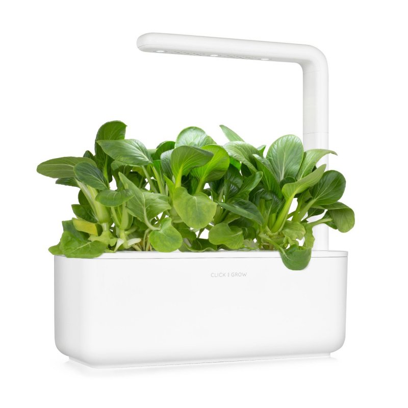 Click and Grow - Smart Garden Refill 3-pack - Pak choi (SG-031)