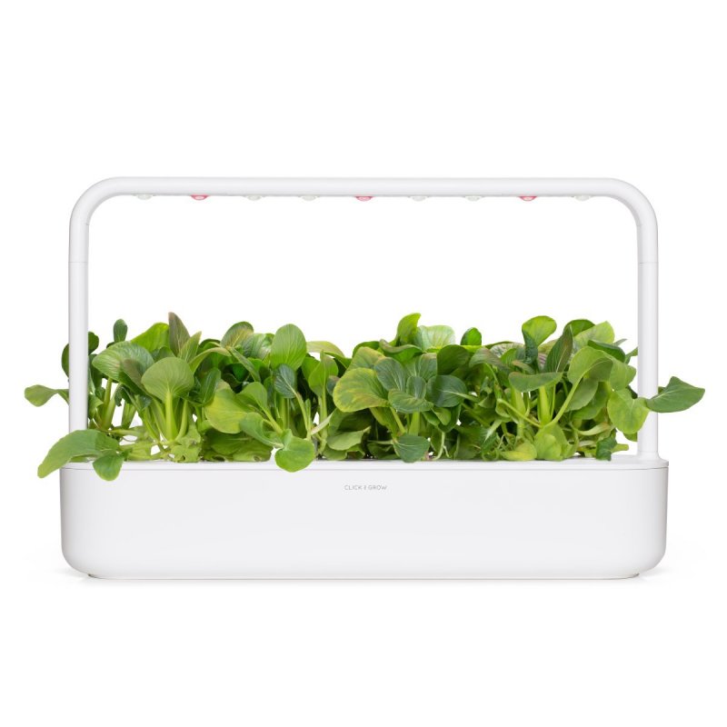 Click and Grow - Smart Garden Refill 3-pack - Pak choi (SG-031)