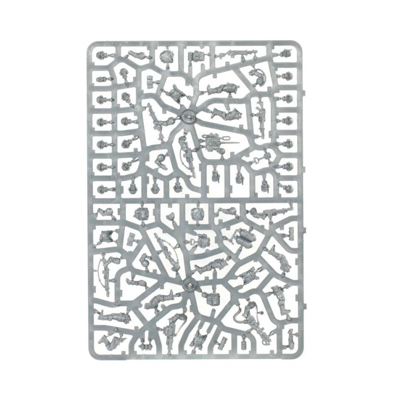 Warhammer - Astra militarum : troupes de choc cadiennes