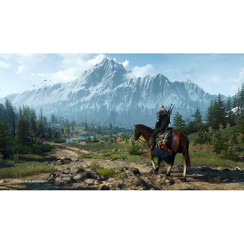 CD Projekt The Witcher 3: Wild Hunt - Complete Edition