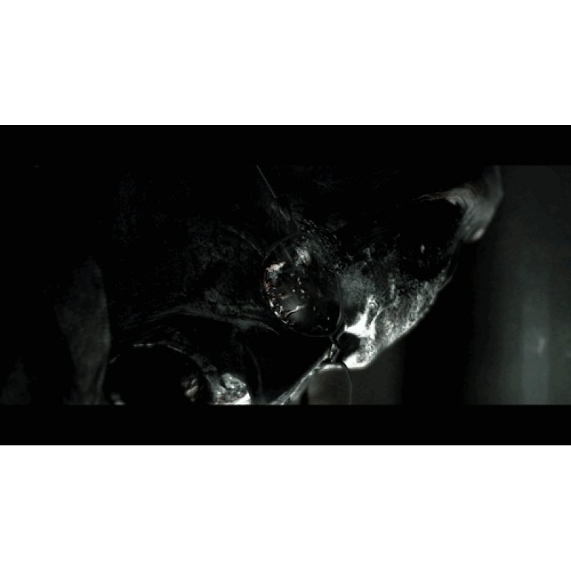 Resident Evil 6 (Import)