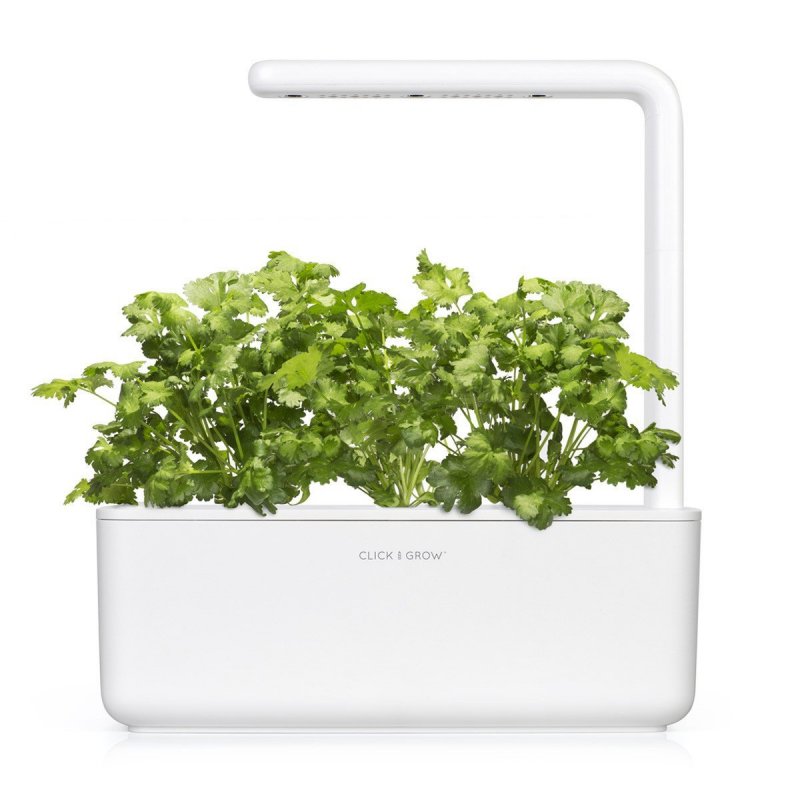 Click & Grow Cilantro/Coriander 3 pc(s) Refill