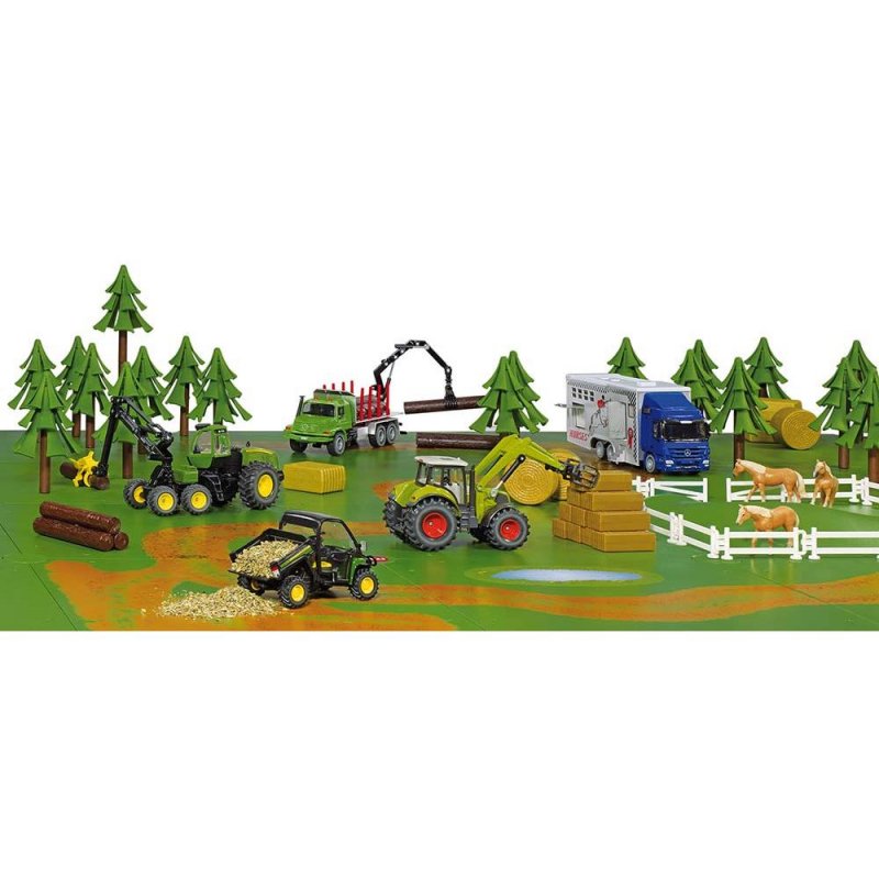 Siku Dirt tracks and forest