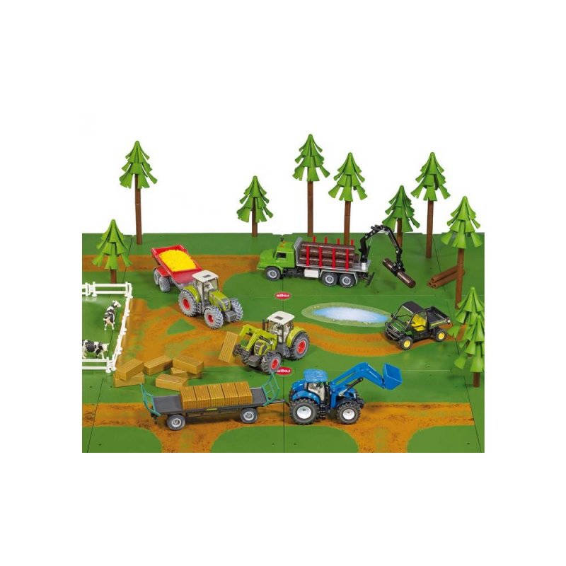 Siku Dirt tracks and forest