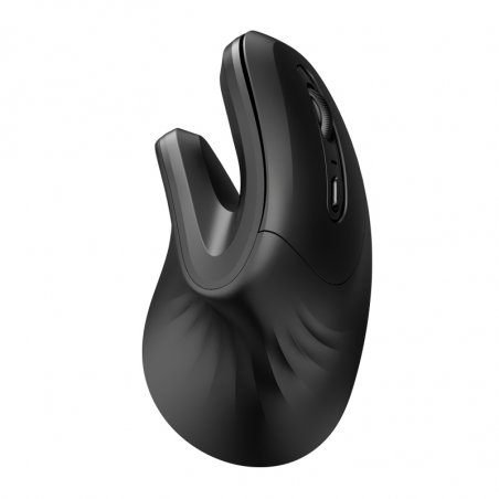 Wireless Vertical Mouse Dareu LM109 Magic Hand Bluetooth + 2.4G (black)