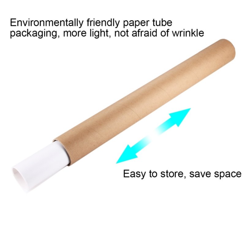 Puluz PU5321W photo backdrop Polyvinyl chloride (PVC) Monochromatic White