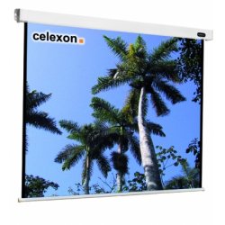 Celexon Leinwand Motor Professional Format 1:1, 200 x 200 cm