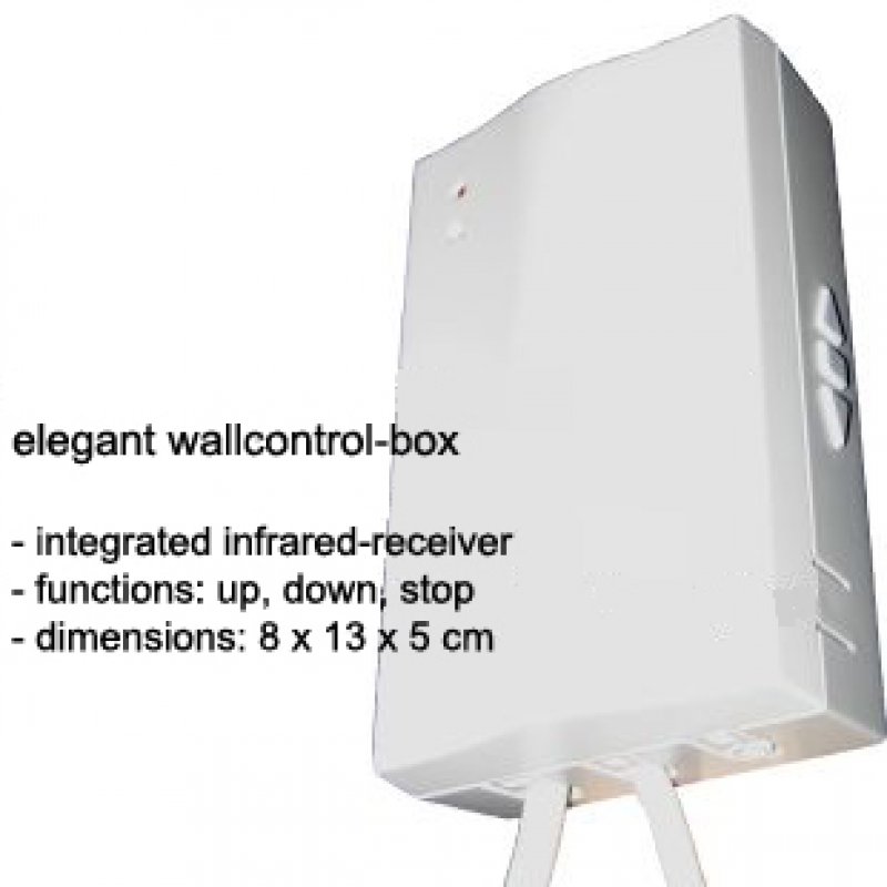 Celexon Leinwand Motor Professional Format 1:1, 200 x 200 cm