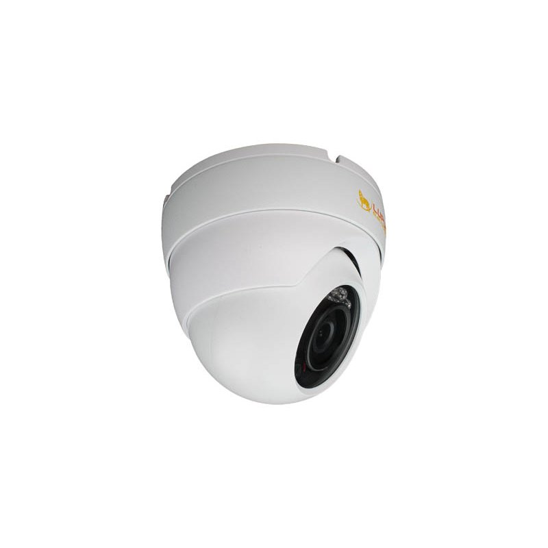 : Lupus Electronics LE337 GEODOME HD Überwachungskamera (13300)