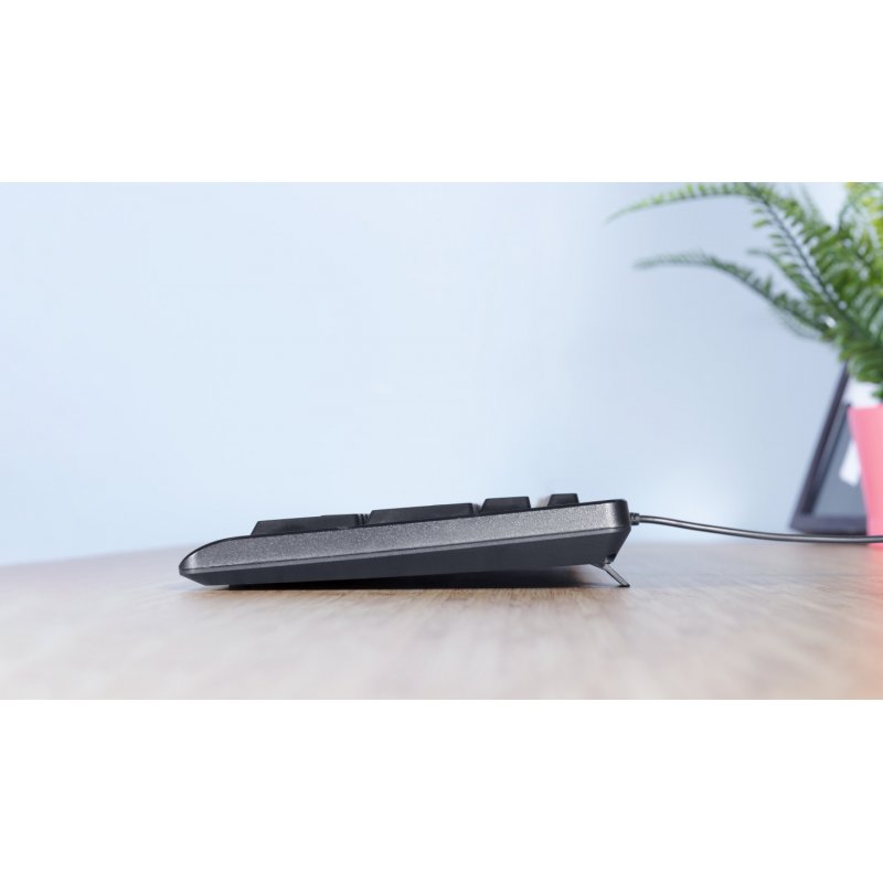 Trust TK-150 clavier USB QWERTZ Allemand Noir