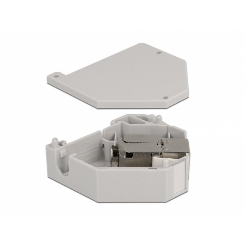 DeLOCK AD Hutschienen KeySt RJ45 Cat. 6A