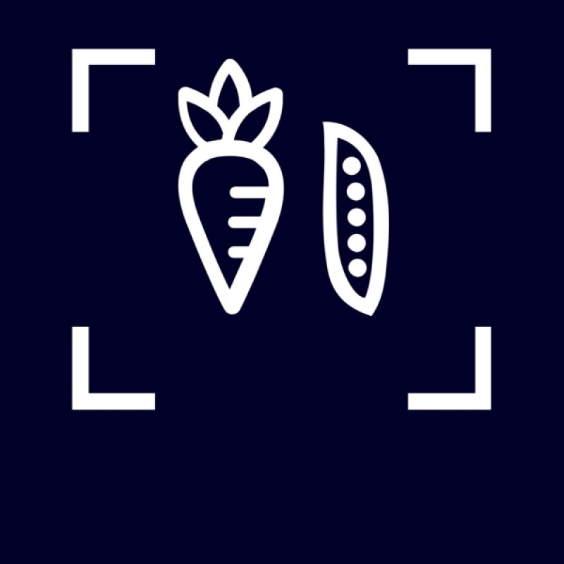 Siemens iQ500 KI31RADD1 freezer Upright freezer Built-in 165 L D White