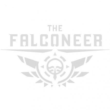 Wired Productions The Falconeer - Warrior Edition Complet PlayStation 4