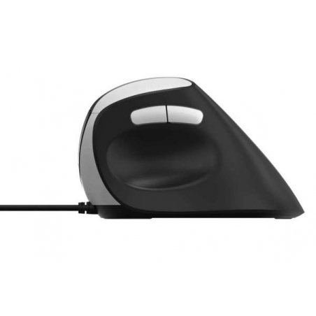 Rapoo EV200 souris Droitier USB Type-A Optique 1600 DPI