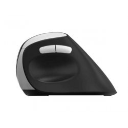 Rapoo EV250 mouse Right-hand RF Wireless Optical 1600 DPI