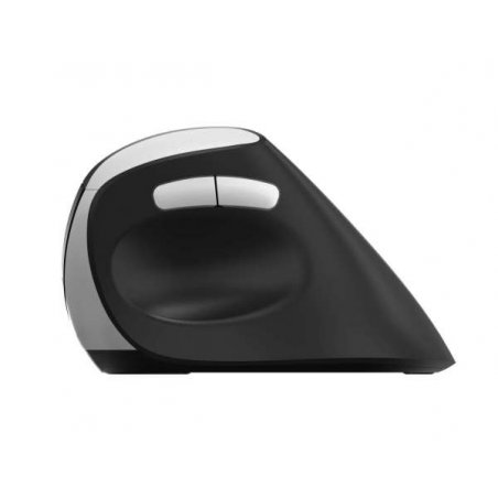 Rapoo EV250 souris Droitier RF sans fil Optique 1600 DPI