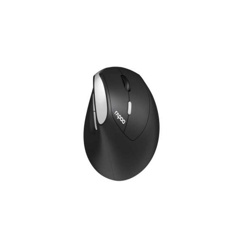 Rapoo EV250 mouse Right-hand RF Wireless Optical 1600 DPI
