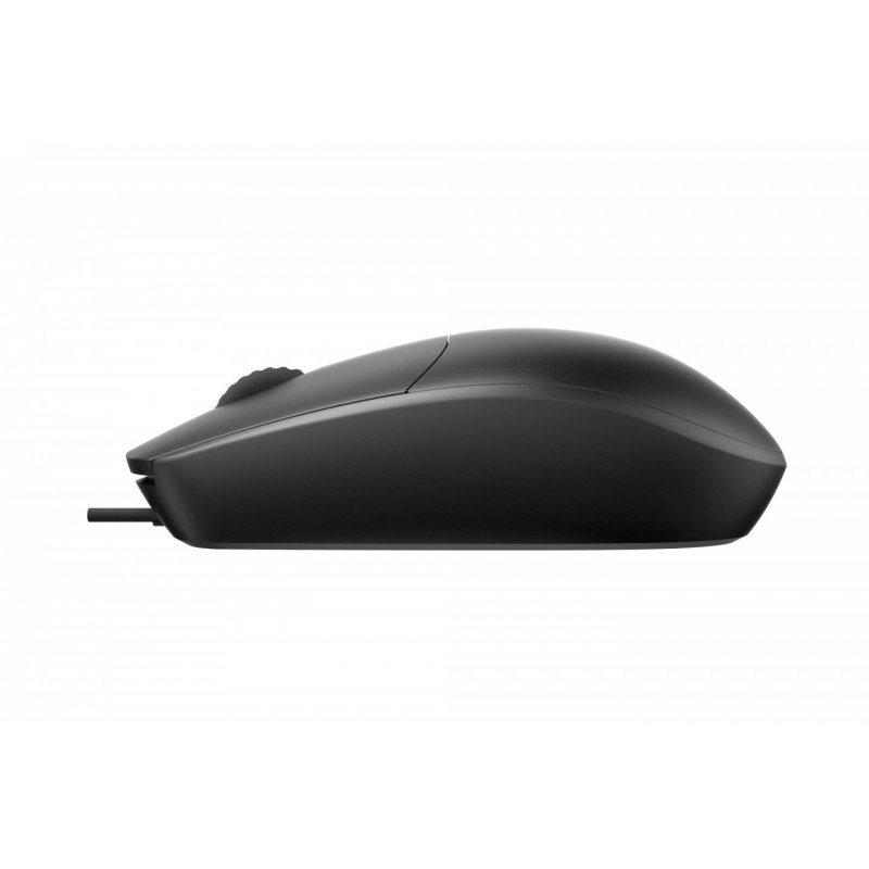 Rapoo N100-BK mouse Ambidextrous USB Type-A Optical 1600 DPI