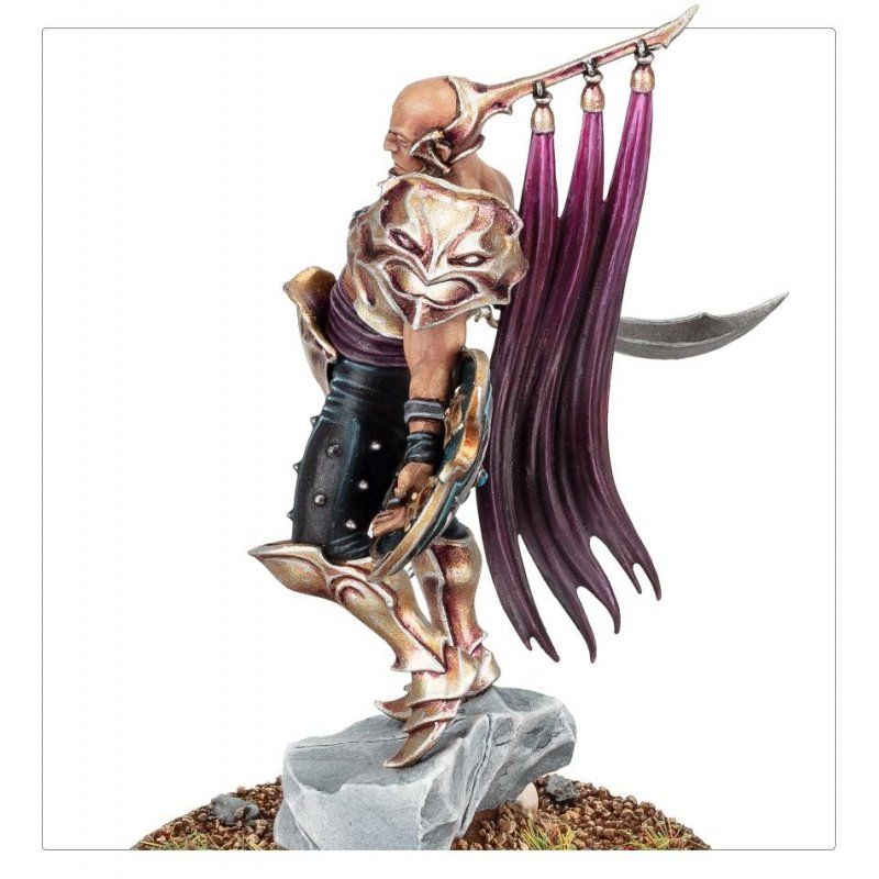 Warhammer AoS - Hedonites of Slaanesh Seigneur de L'Orgueil