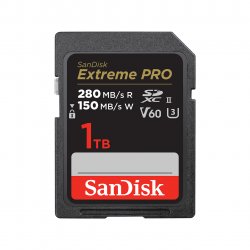 SanDisk SDSDXEP-1T00-GN4IN mémoire flash 1 To SDXC UHS-II Classe 10