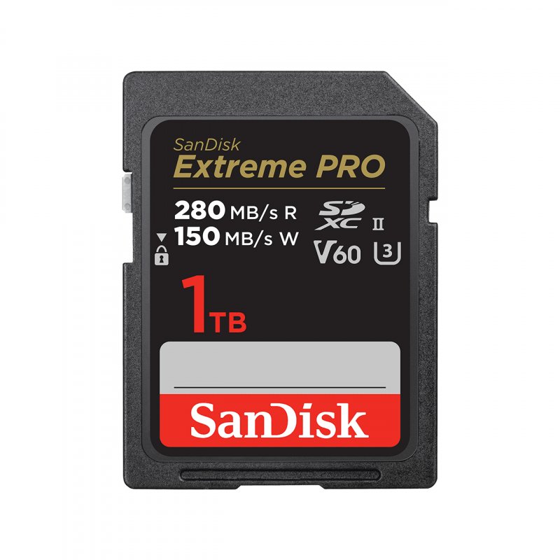 SanDisk SDSDXEP-1T00-GN4IN mémoire flash 1 To SDXC UHS-II Classe 10