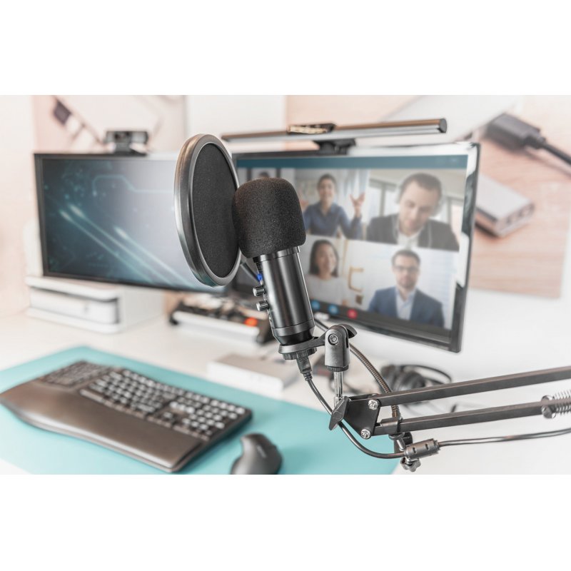 ZUB Digitus Mikrofon Professionell