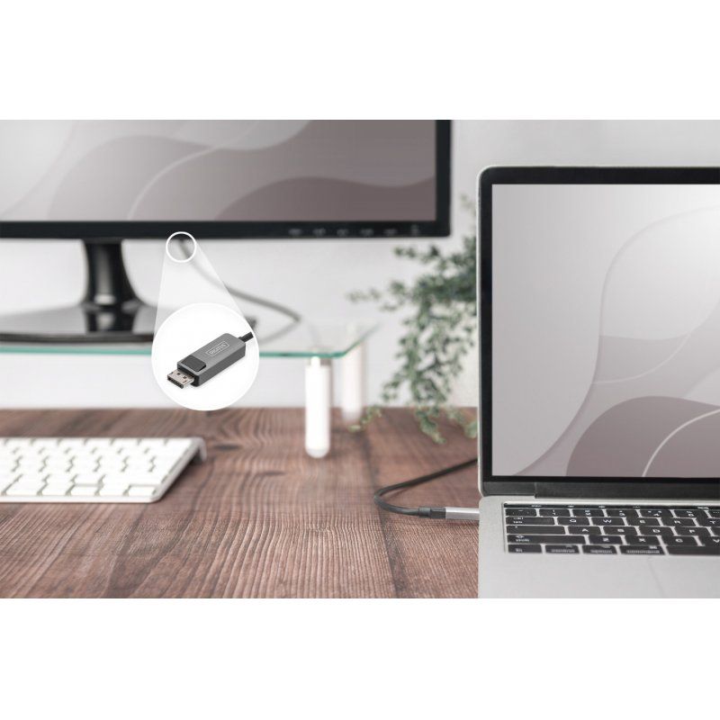 DIGITUS - Video-Adapterkabel - DisplayPort zu 24 pin USB-C - 2 m