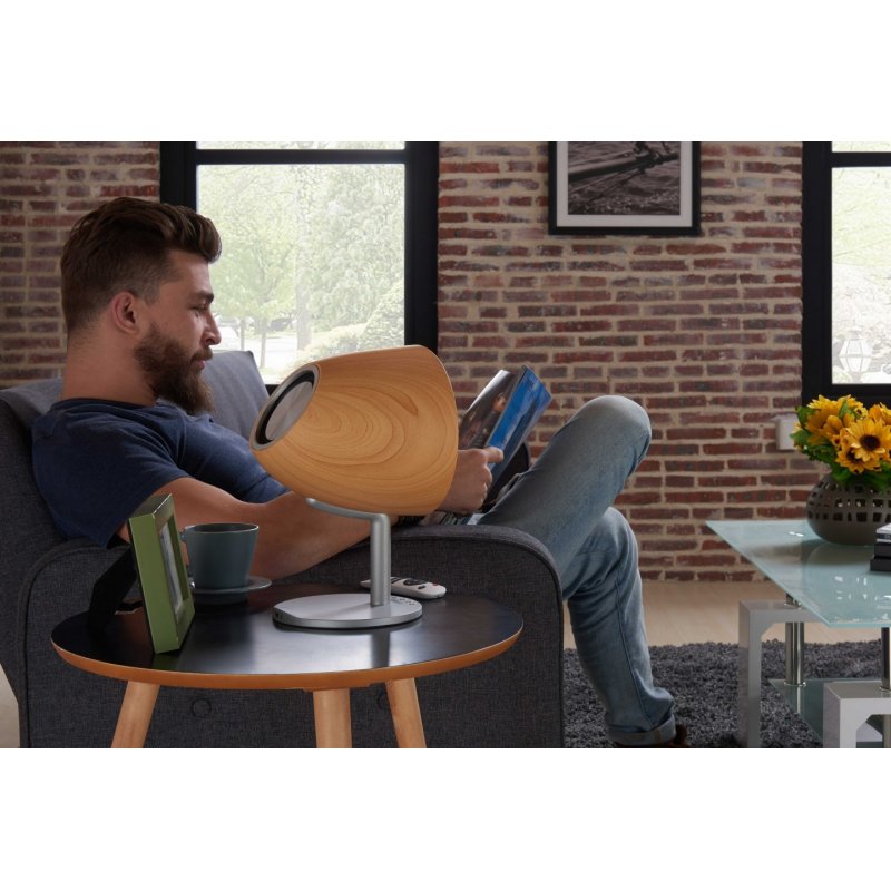 Altec Lansing Epsilonia haut-parleur 1-voie Argent, Bois Sans fil 20 W