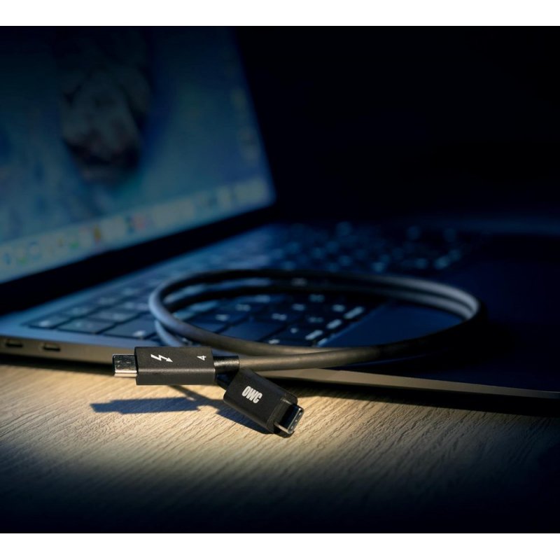 OWC OWCCBLTB4C2.0M Câble Thunderbolt 2 m 40 Gbit/s Noir