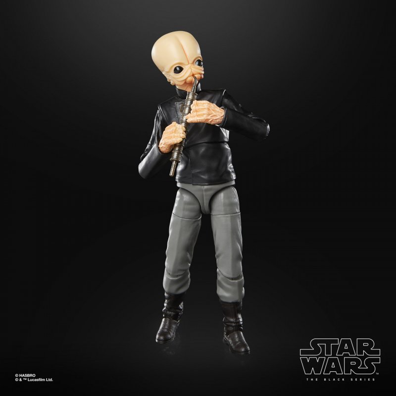 Star Wars The Black Series F50405X0 toy figure