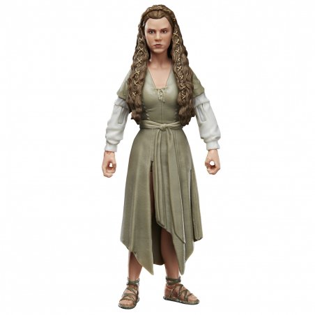 Star Wars The Black Series - Figurine d'action de la princesse Leia (Village Ewok) 15cm