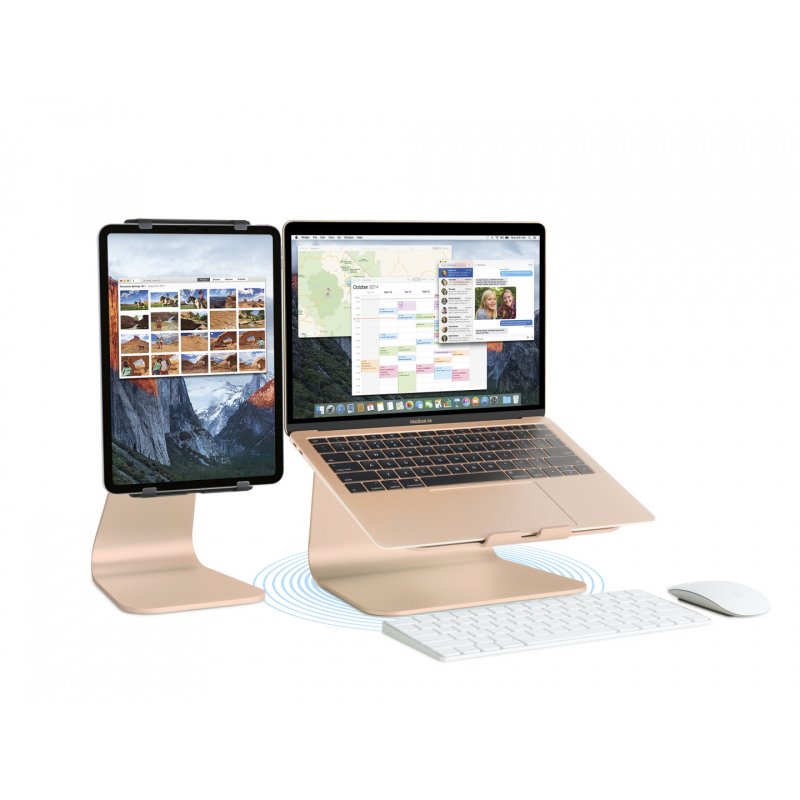 Rain Design mStand 360 Notebook stand Gold 38.1 cm (15")