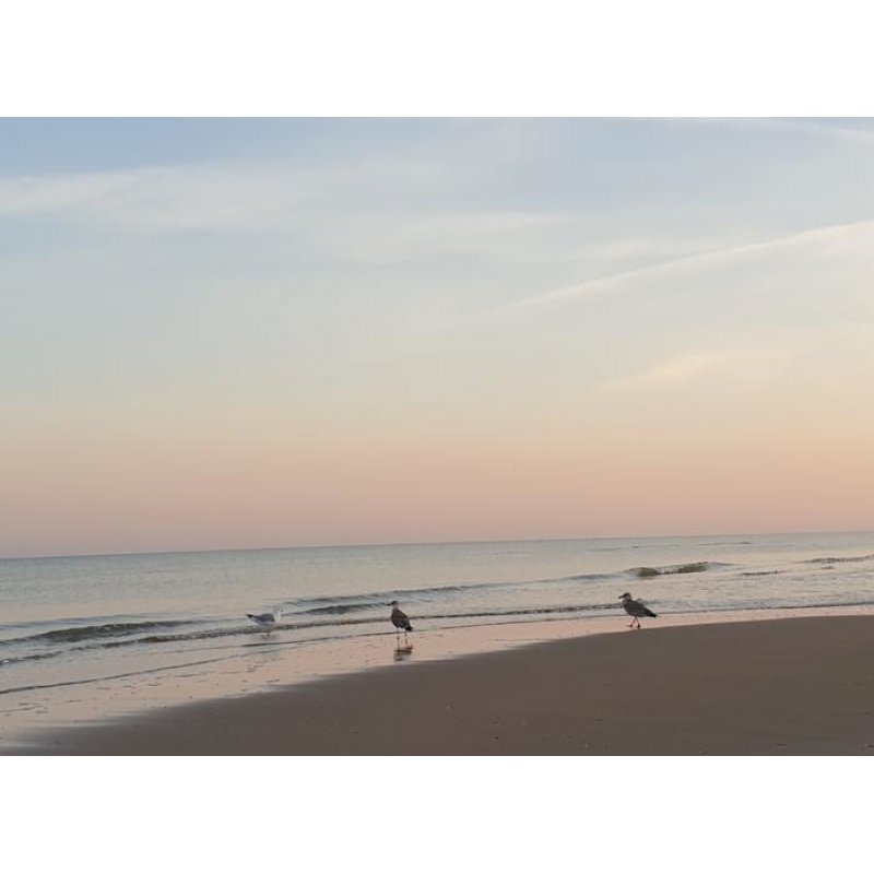 RAV GraviTrax Element Looping  22412