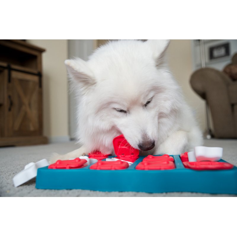 NINA OTTOSSON - Dog Brick Plastic - (635.1324)