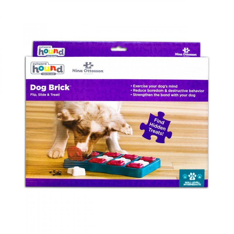 Outward Hound Dog Brick Interactive Treat Puzzle Dog Toy, Blue