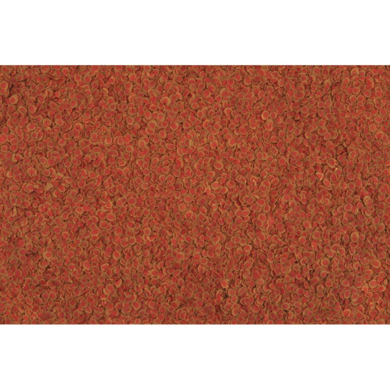 Tetra TetraPro Colour 10 L