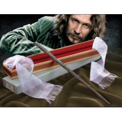 Harry Potter réplique baguette de Sirius Black