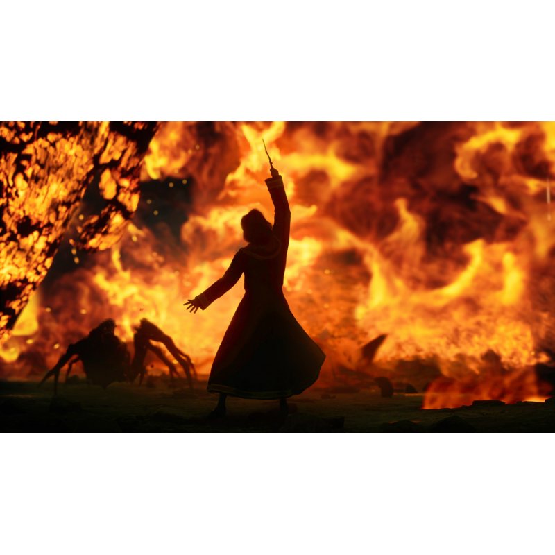 Warner Bros. Games Hogwarts Legacy Standard Anglais PlayStation 4