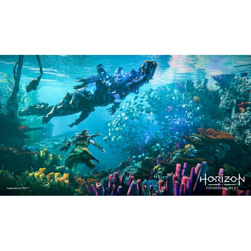 Sony Horizon: Forbidden West Standard Arabic, Spanish, Polish, French, Italian, Portuguese, Japanese, Russian, German Pl