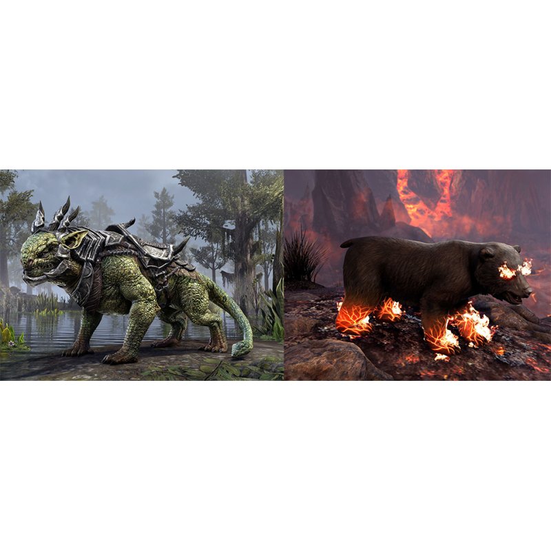 The Elder Scrolls - Online Collection Blackwood - EN/IT/ES (Xbox One)