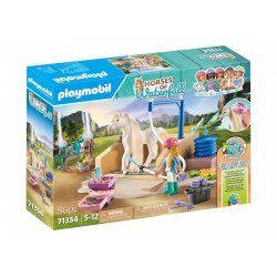 Playmobil 71354 jouet