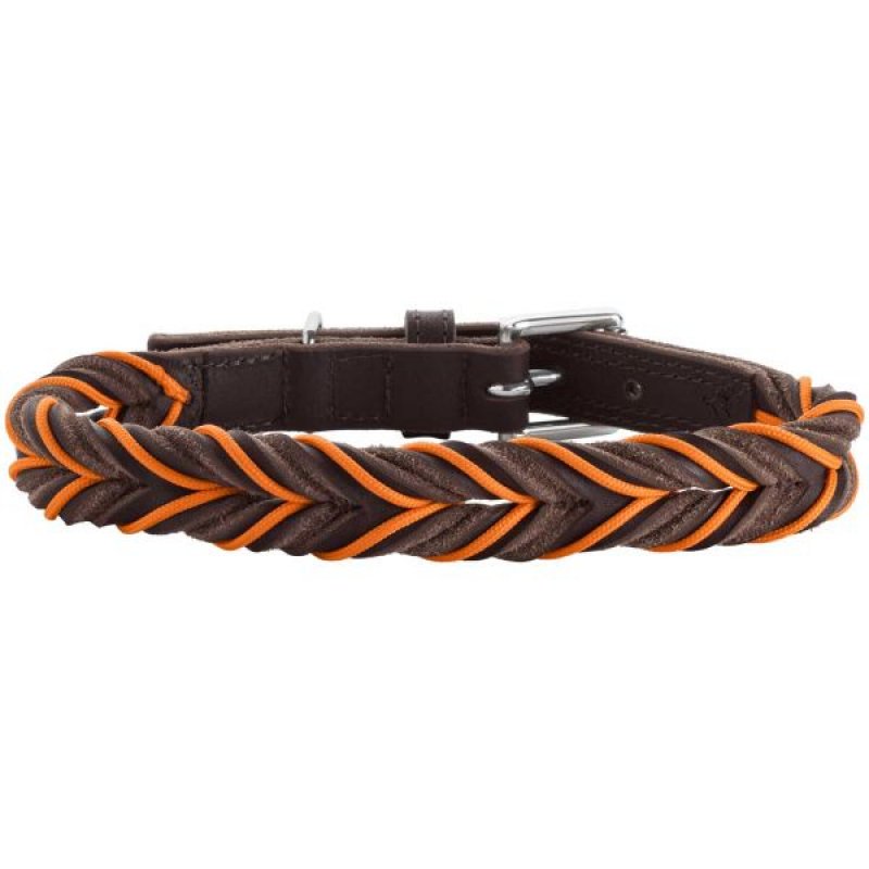 Hunter Solid Education Marron, Orange Cuir M-L Chien Collier standard