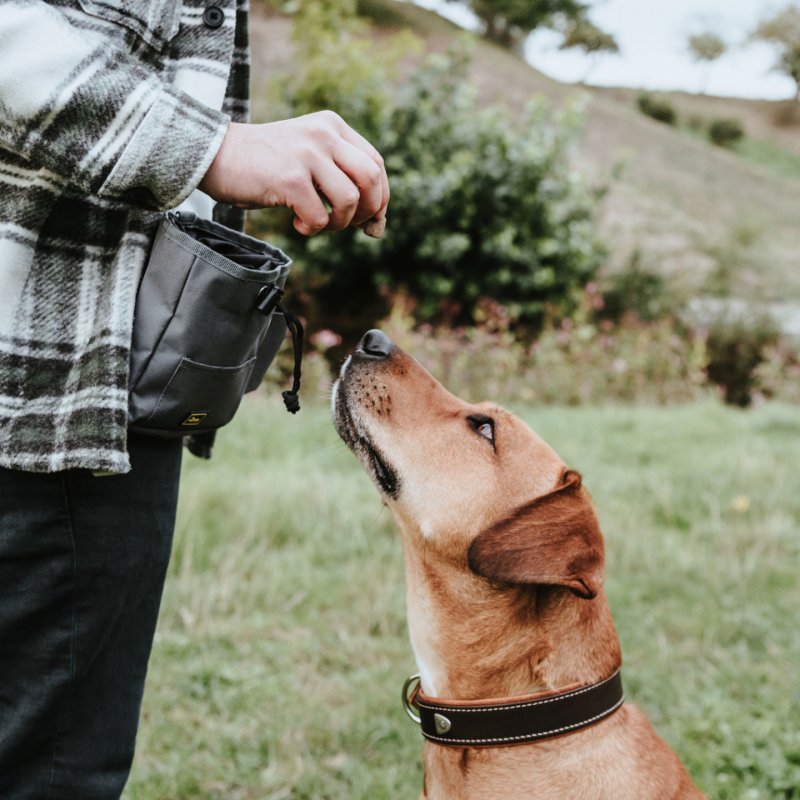 Hunter - Treat bag Tyra , grey - (69474)