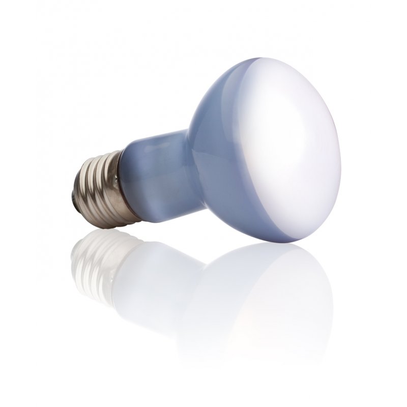 Exo Terra PT2131 lampe chauffante pour reptile 50 W 1 pièce(s)