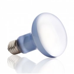 Exo Terra PT2133 lampe chauffante pour reptile 100 W 1 pièce(s)